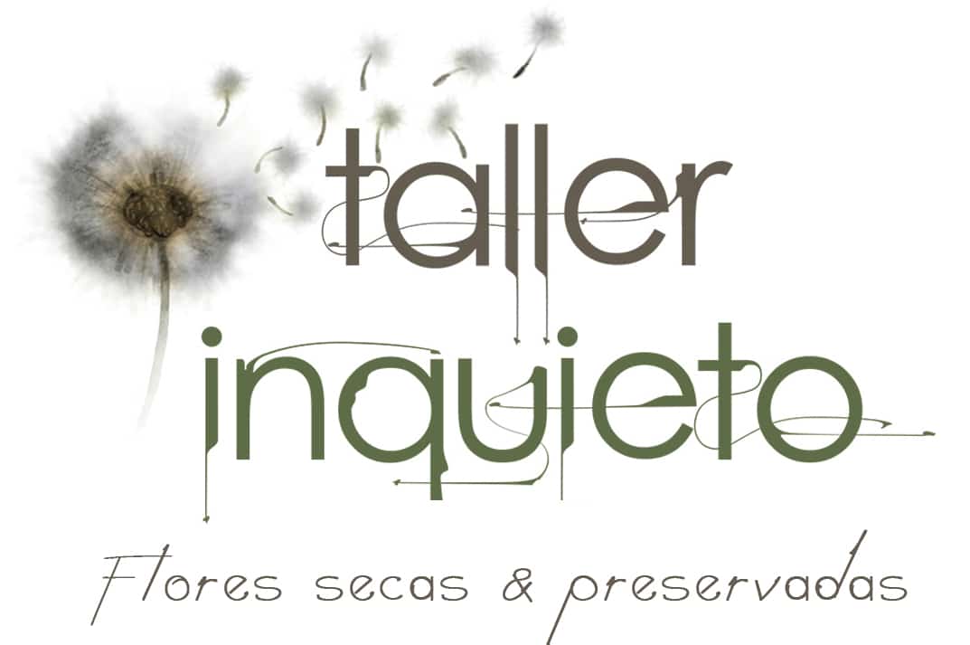 Flores preservadas y secas online | Taller Inquieto